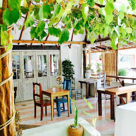 Posada Amor Hotel Boutique 푸에르토 모렐로스 외부 사진