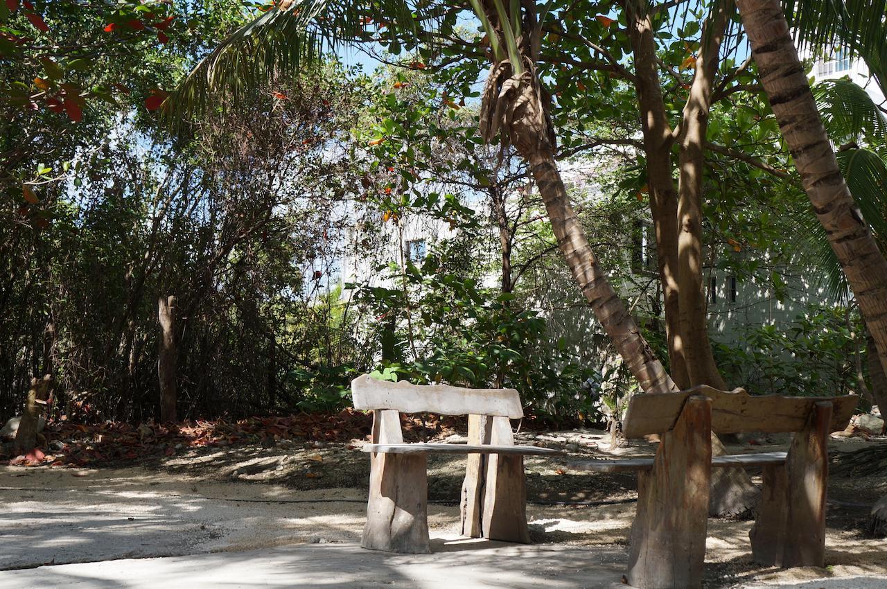 Posada Amor Hotel Boutique 푸에르토 모렐로스 외부 사진