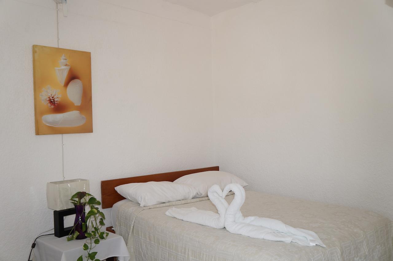 Posada Amor Hotel Boutique 푸에르토 모렐로스 외부 사진
