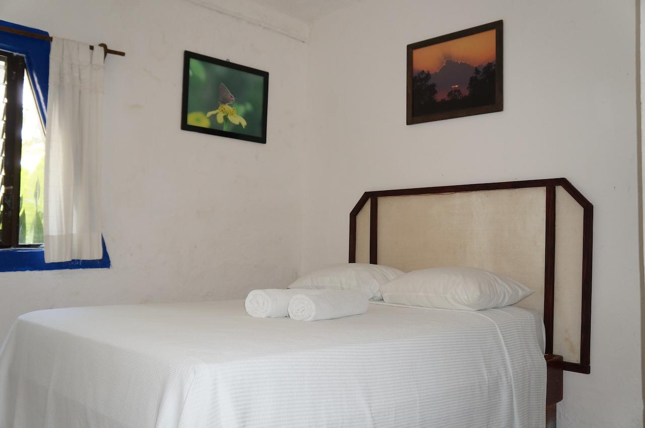 Posada Amor Hotel Boutique 푸에르토 모렐로스 외부 사진