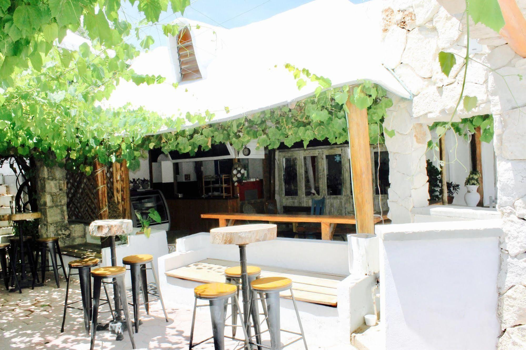 Posada Amor Hotel Boutique 푸에르토 모렐로스 외부 사진