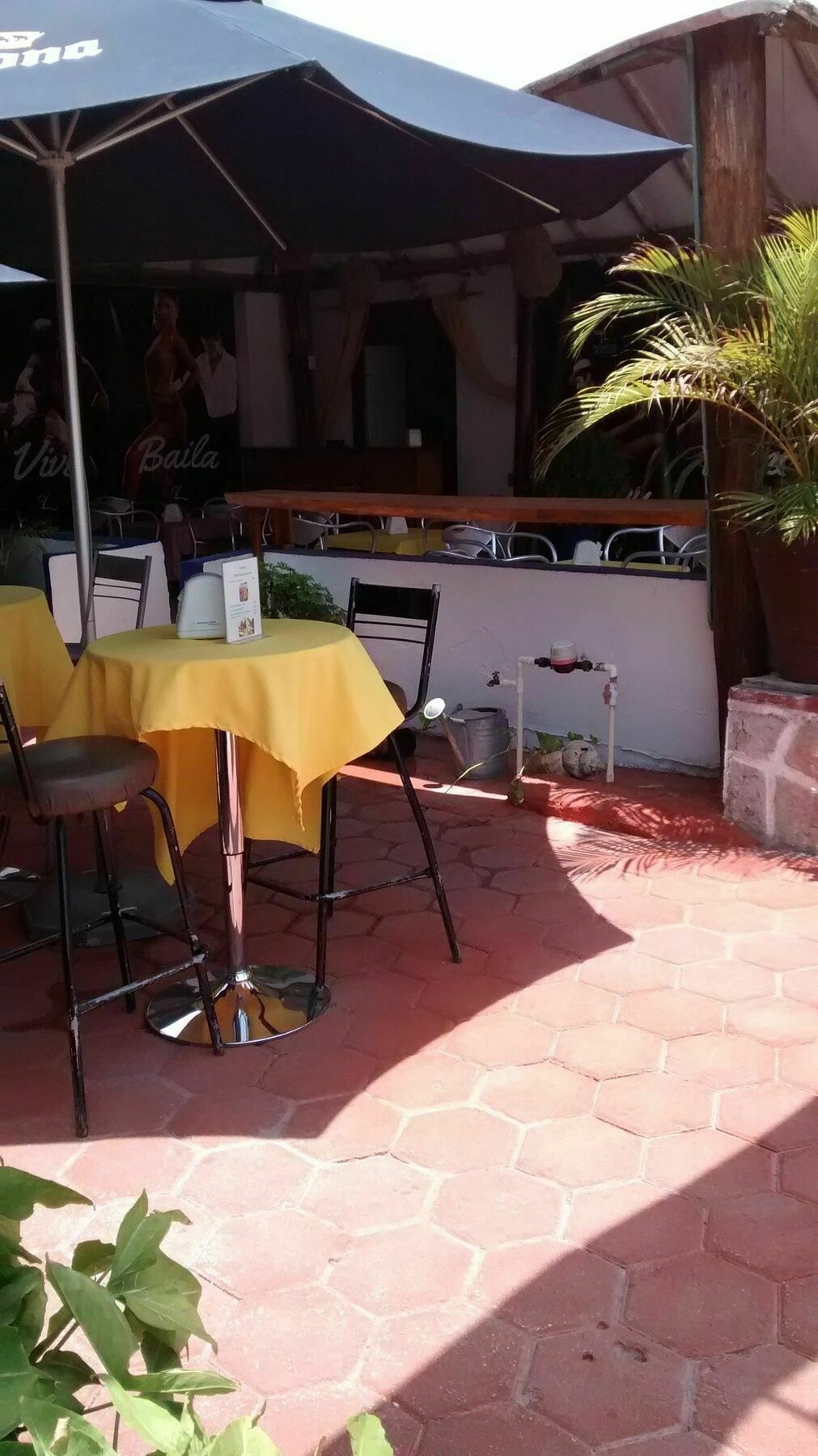 Posada Amor Hotel Boutique 푸에르토 모렐로스 외부 사진
