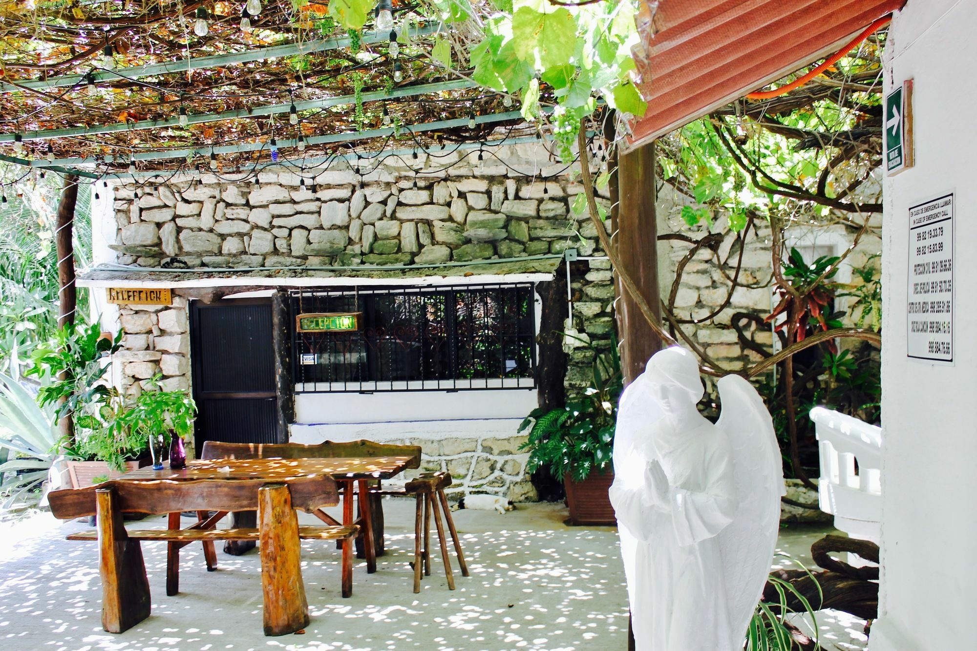 Posada Amor Hotel Boutique 푸에르토 모렐로스 외부 사진